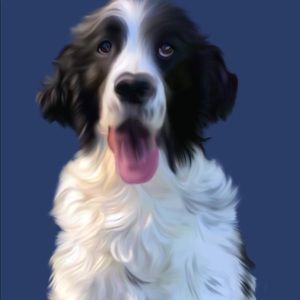 DIGITAL PET PORTRAIT